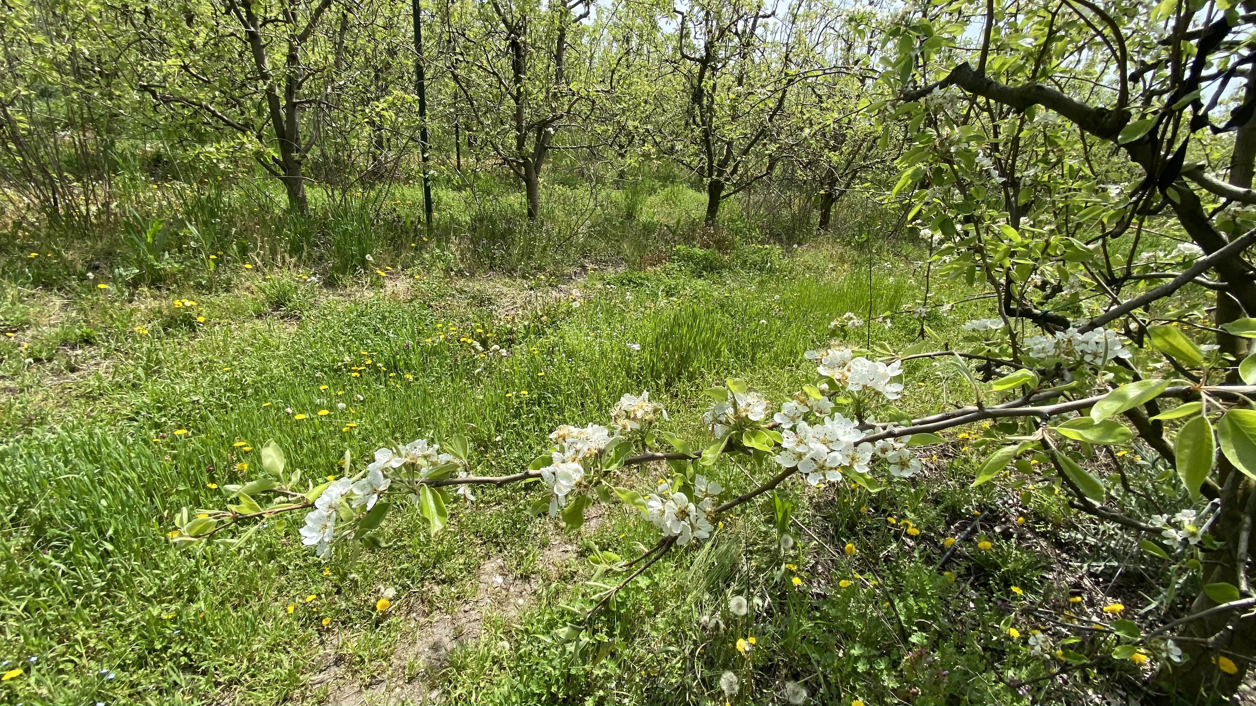 IMG_8692