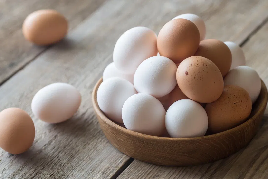 Egg