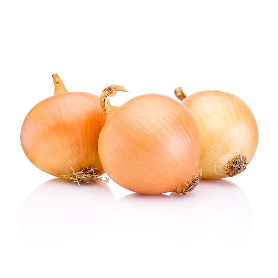 Onion